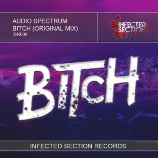 Cover: Audio Spectrum - Bitch