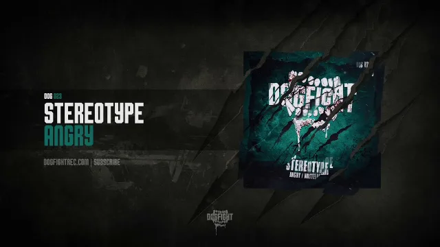 Cover: Stereotype - Angry / Wasteland