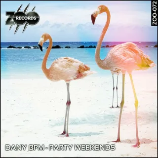 Cover: Dany BPM - Party Weekends