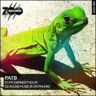 Cover: Pat B - My Darkest Hour