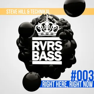 Cover: Steve Hill & Technikal - Right Here, Right Now